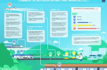 visuel-preview-blog-projets-infographie-bougez-plus-vert-780-406