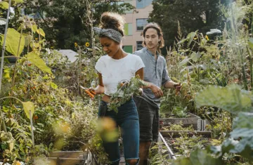 visuel-preview-blog-projets-habitat-participatif-780-406