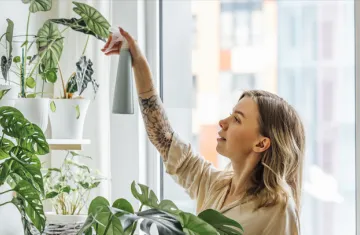 visuel-preview-blog-projets-plantes-bienfaits-quotidien-780-406
